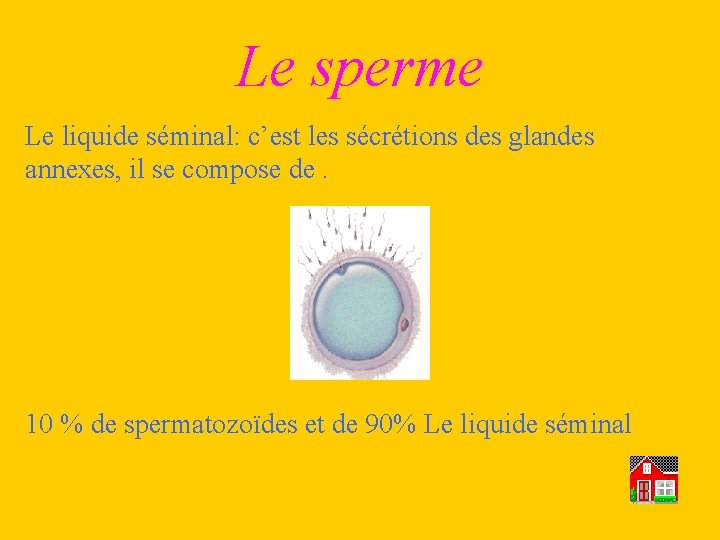 Le sperme Le liquide séminal: c’est les sécrétions des glandes annexes, il se compose