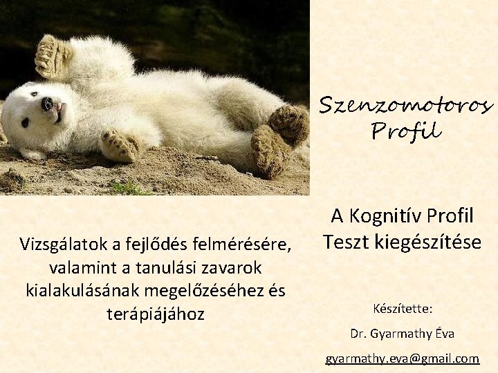 Szenzomotoros Profil Vizsgálatok a fejlődés felmérésére, valamint a tanulási zavarok kialakulásának megelőzéséhez és terápiájához