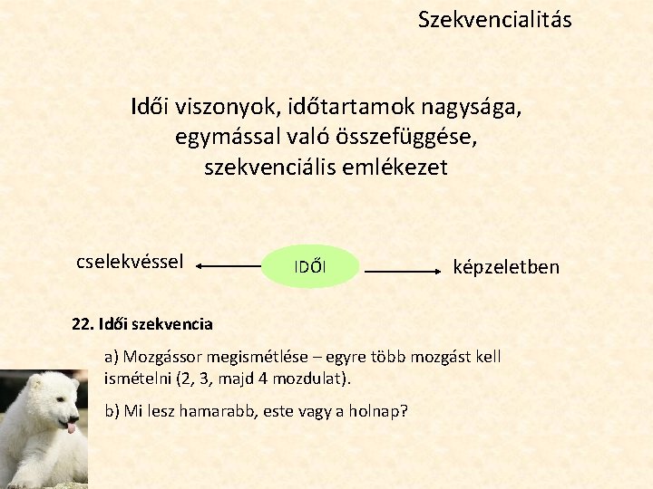 Szekvencialitás Idői viszonyok, időtartamok nagysága, egymással való összefüggése, szekvenciális emlékezet cselekvéssel IDŐI képzeletben 22.