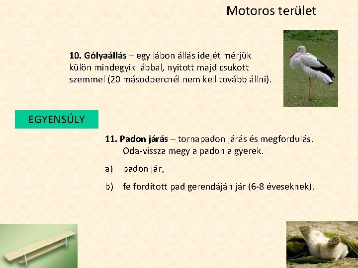 Motoros terület 10. Gólyaállás – egy lábon állás idejét mérjük külön mindegyik lábbal, nyitott