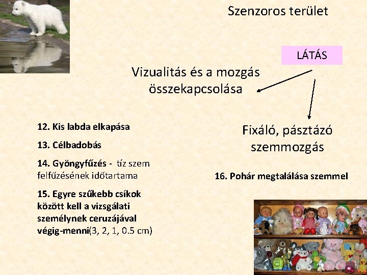 Szenzoros terület LÁTÁS Vizualitás és a mozgás összekapcsolása 12. Kis labda elkapása 13. Célbadobás