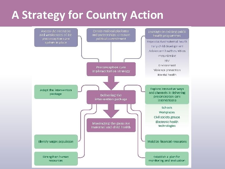 A Strategy for Country Action 