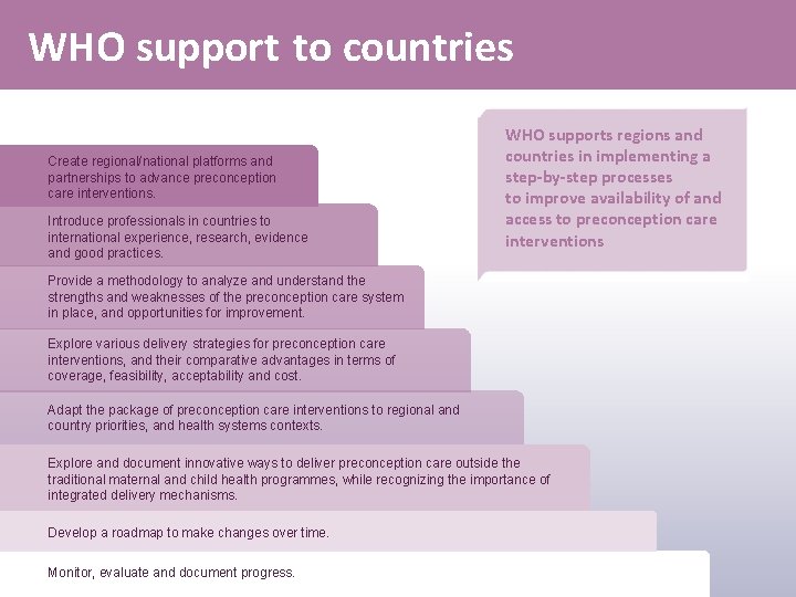 WHO support to countries Create regional/national platforms and partnerships to advance preconception care interventions.