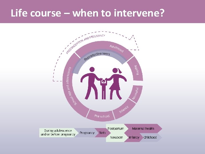 Life course – when to intervene? 