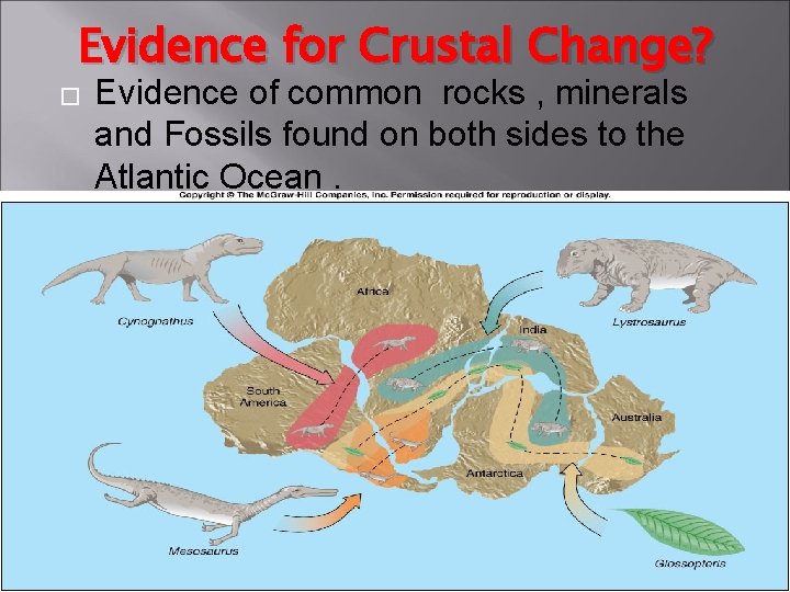 Evidence for Crustal Change? � Evidence of common rocks , minerals and Fossils found