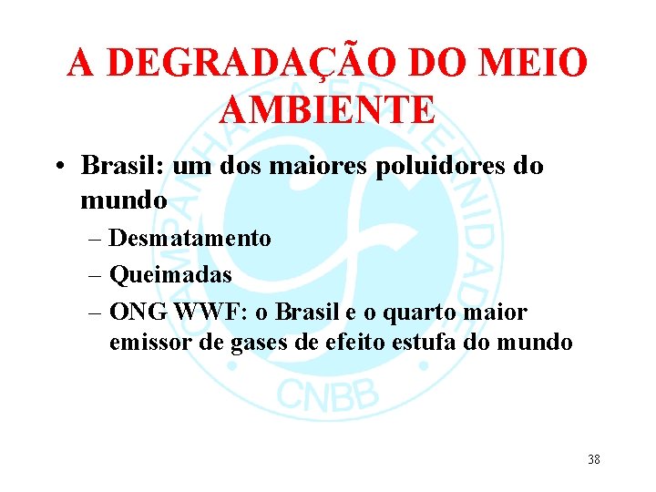 A DEGRADAÇÃO DO MEIO AMBIENTE • Brasil: um dos maiores poluidores do mundo –