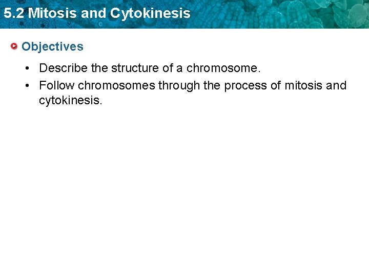 5. 2 Mitosis and Cytokinesis Objectives • Describe the structure of a chromosome. •