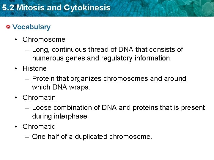 5. 2 Mitosis and Cytokinesis Vocabulary • Chromosome – Long, continuous thread of DNA 5. 2 Mitosis and Cytokinesis Vocabulary • Chromosome – Long, continuous thread of DNA