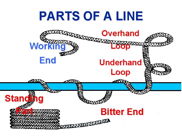PARTS OF A LINE Overhand Working Loop End Underhand Loop Standing Part Bitter End PARTS OF A LINE Overhand Working Loop End Underhand Loop Standing Part Bitter End