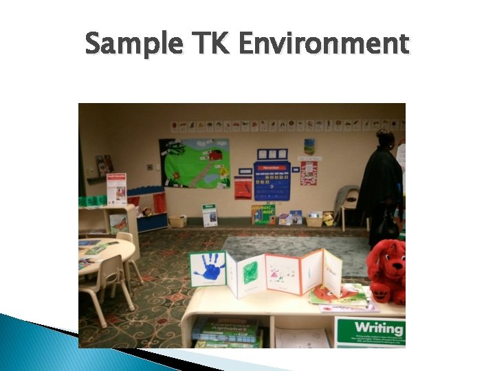 Sample TK Environment 
