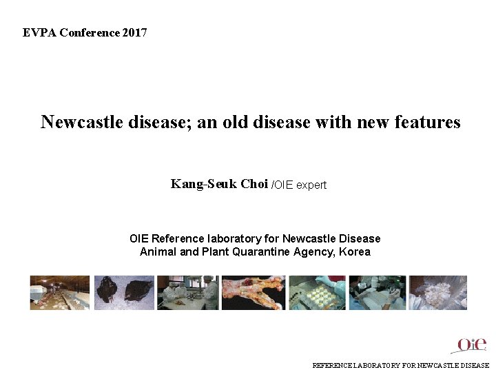 EVPA Conference 2017 Newcastle disease; an old disease with new features Kang-Seuk Choi /OIE