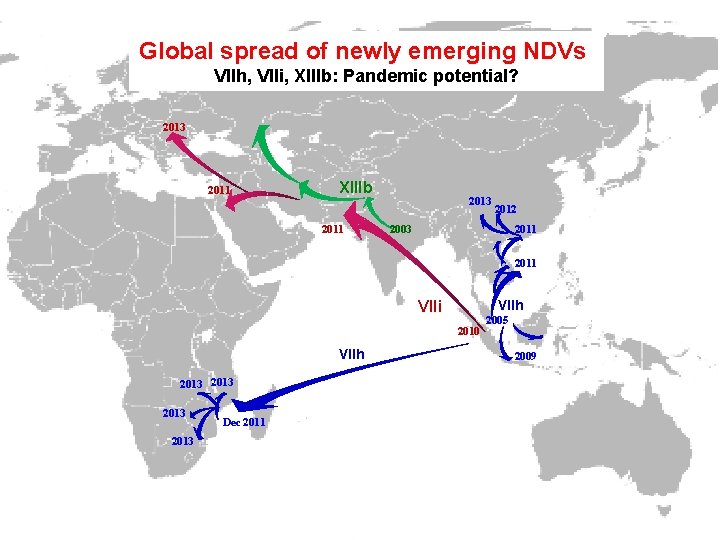 Global spread of newly emerging NDVs VIIh, VIIi, XIIIb: Pandemic potential? 2013 2011 XIIIb
