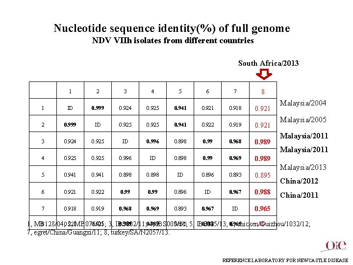 Nucleotide sequence identity(%) of full genome NDV VIIh isolates from different countries South Africa/2013