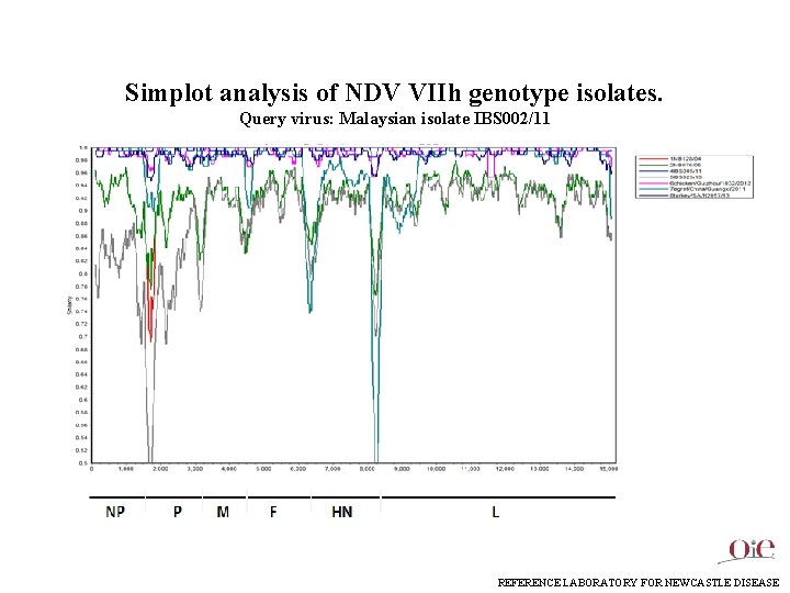 Simplot analysis of NDV VIIh genotype isolates. Query virus: Malaysian isolate IBS 002/11 REFERENCE
