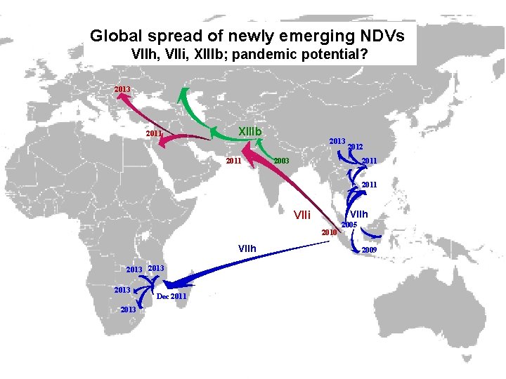 Global spread of newly emerging NDVs VIIh, VIIi, XIIIb; pandemic potential? 2013 2011 XIIIb