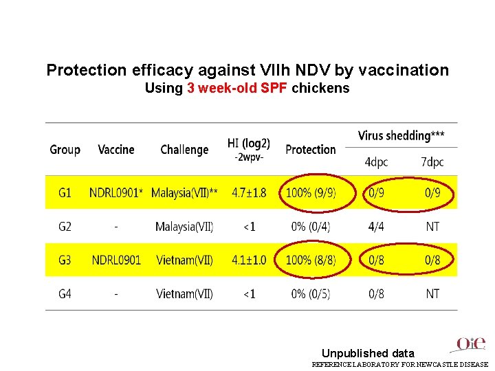 Protection efficacy against VIIh NDV by vaccination Using 3 week-old SPF chickens Unpublished data