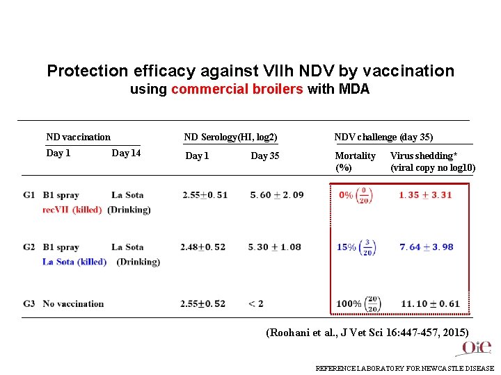 Protection efficacy against VIIh NDV by vaccination using commercial broilers with MDA ND vaccination