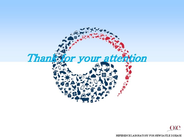 Thank for your attention REFERENCE LABORATORY FOR NEWCASTLE DISEASE 