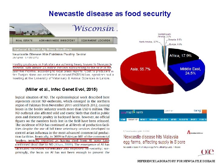 Newcastle disease as food security (Miller et al. , Infec Genet Evol, 2015) REFERENCE