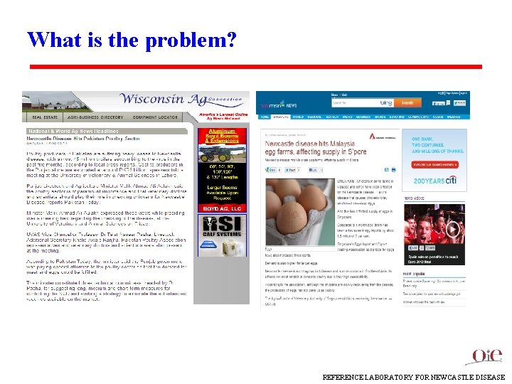 What is the problem? REFERENCE LABORATORY FOR NEWCASTLE DISEASE 