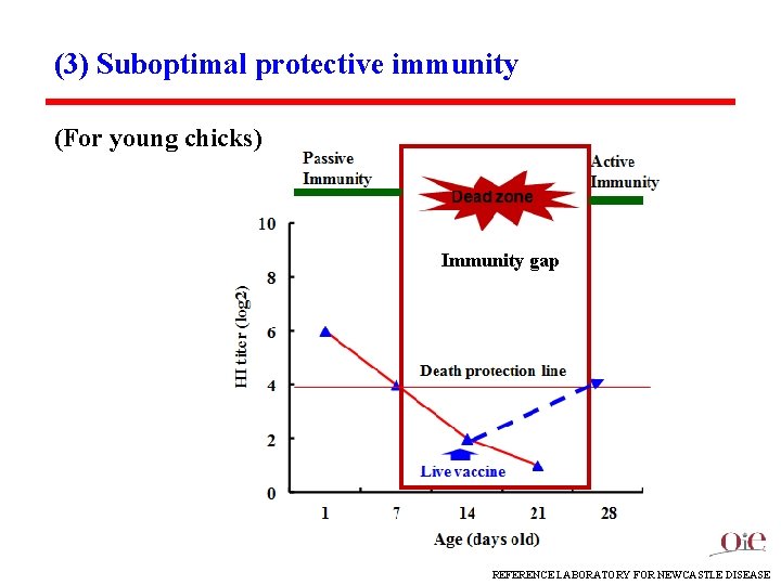 (3) Suboptimal protective immunity (For young chicks) Immunity gap REFERENCE LABORATORY FOR NEWCASTLE DISEASE