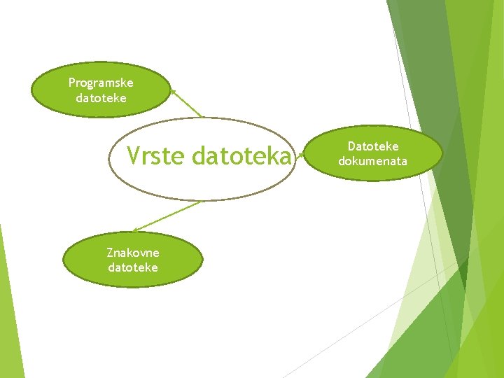 Programske datoteke Vrste datoteka Znakovne datoteke Datoteke dokumenata 