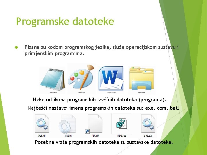 Programske datoteke Pisane su kodom programskog jezika, služe operacijskom sustavu i primjenskim programima. Neke