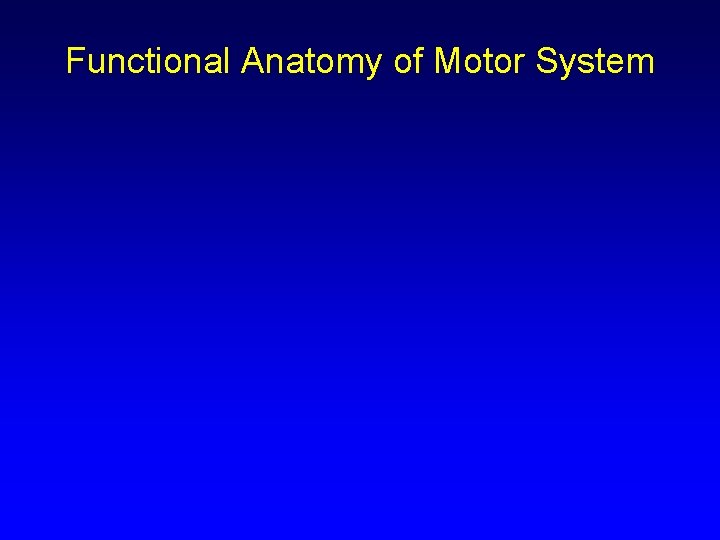 Functional Anatomy of Motor System 