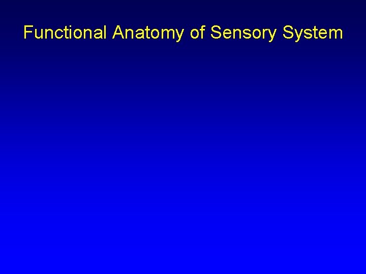 Functional Anatomy of Sensory System 