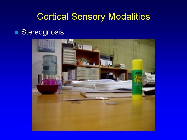 Cortical Sensory Modalities n Stereognosis 