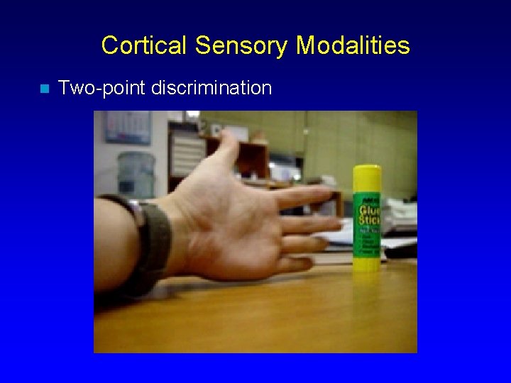 Cortical Sensory Modalities n Two-point discrimination 