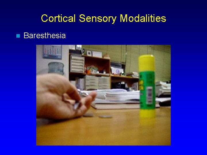 Cortical Sensory Modalities n Baresthesia 