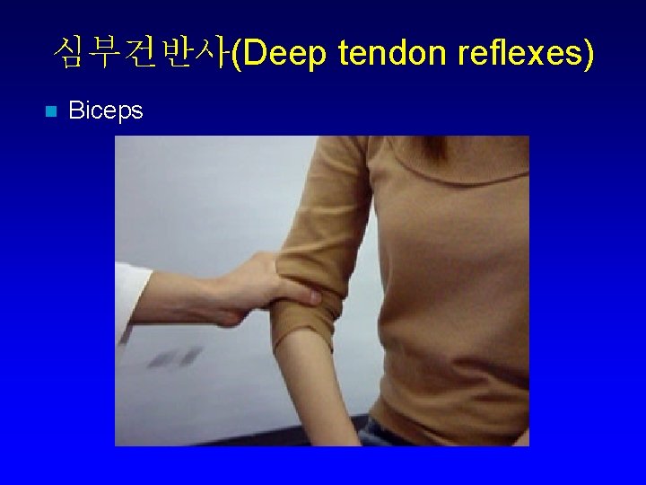 심부건반사(Deep tendon reflexes) n Biceps 