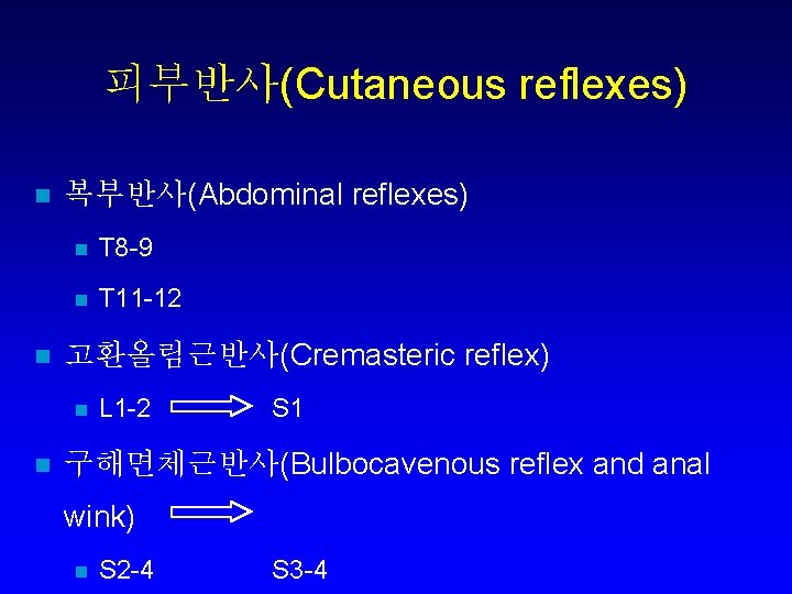 피부반사(Cutaneous reflexes) n n 복부반사(Abdominal reflexes) n T 8 -9 n T 11 -12