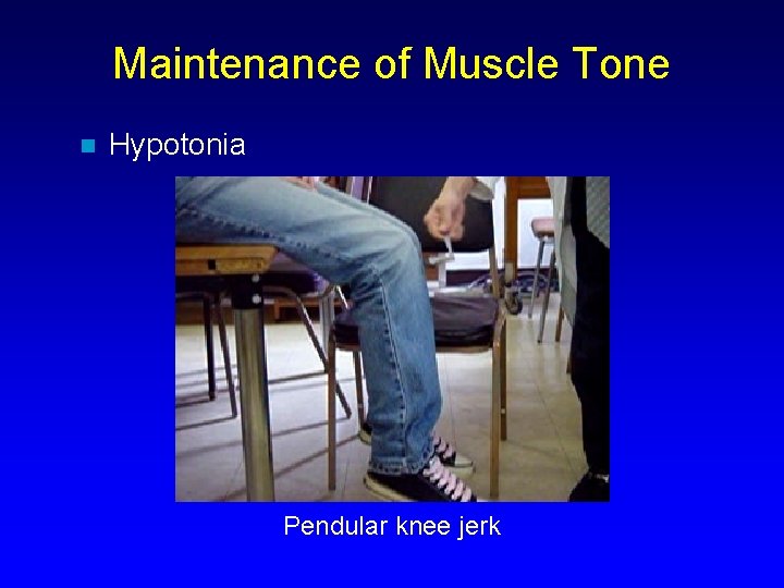 Maintenance of Muscle Tone n Hypotonia Pendular knee jerk 