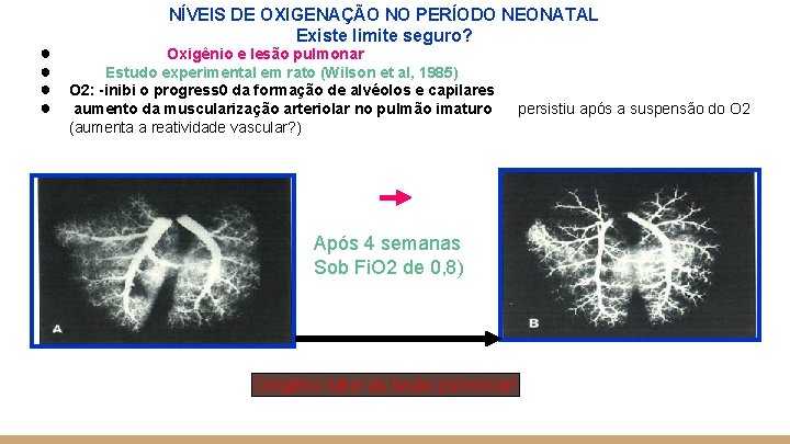 ● ● NÍVEIS DE OXIGENAÇÃO NO PERÍODO NEONATAL Existe limite seguro? Oxigênio e lesão