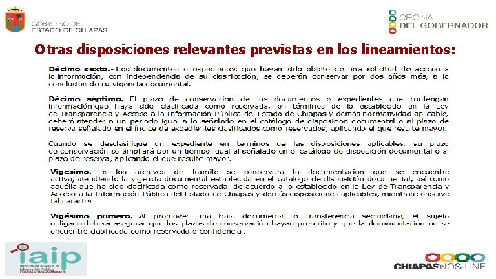 Otras disposiciones relevantes previstas en los lineamientos: 