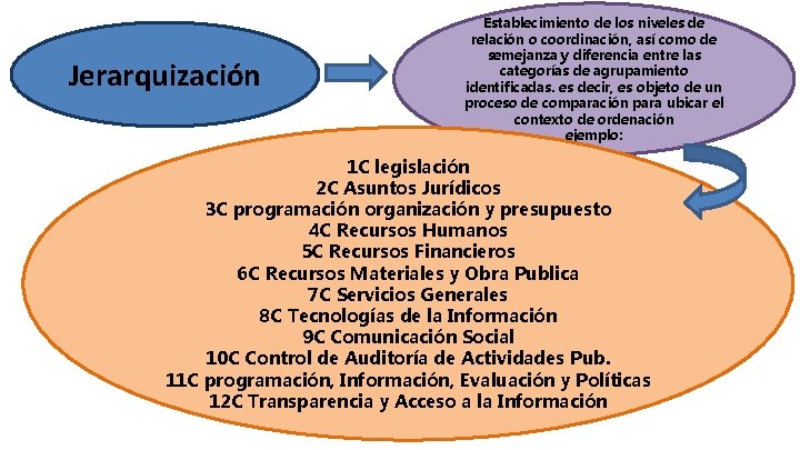 Jerarquización Establecimiento de los niveles de relación o coordinación, así como de semejanza y