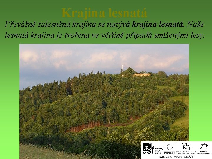 Krajina lesnatá Převážně zalesněná krajina se nazývá krajina lesnatá. Naše lesnatá krajina je tvořena