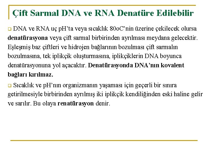 Çift Sarmal DNA ve RNA Denatüre Edilebilir DNA ve RNA uç p. H’ta veya