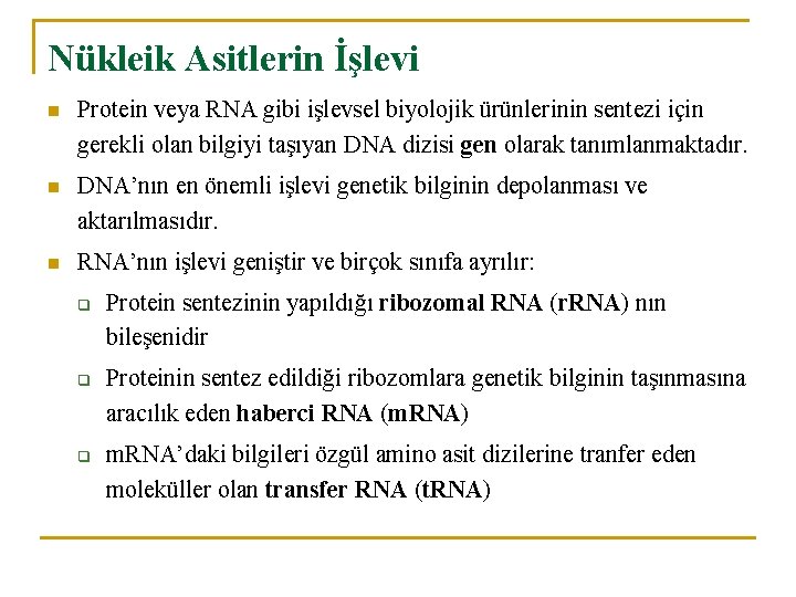 Nükleik Asitlerin İşlevi n Protein veya RNA gibi işlevsel biyolojik ürünlerinin sentezi için gerekli
