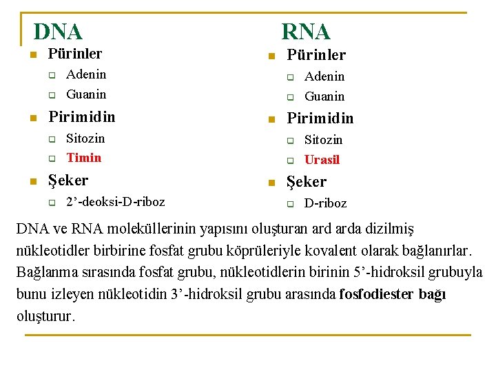 DNA n Pürinler q q n 2’-deoksi-D-riboz Pürinler q q n Sitozin Timin Şeker