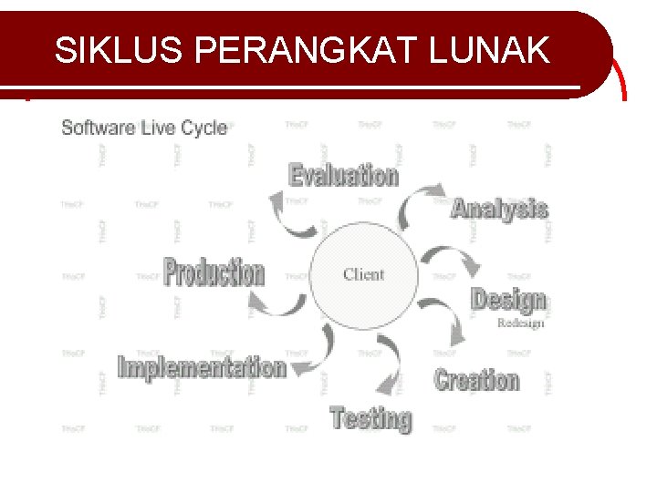 SIKLUS PERANGKAT LUNAK 