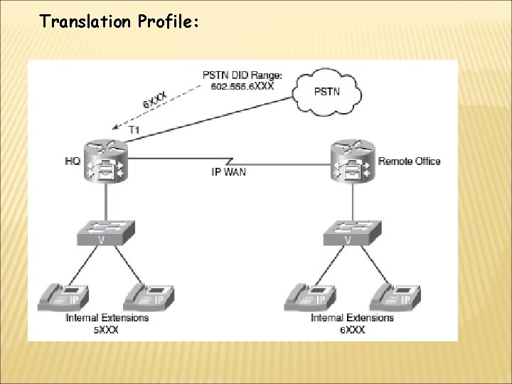 Translation Profile: 