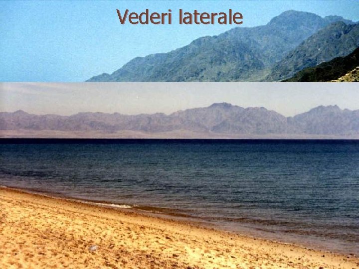 Vederi laterale Vederi laterale