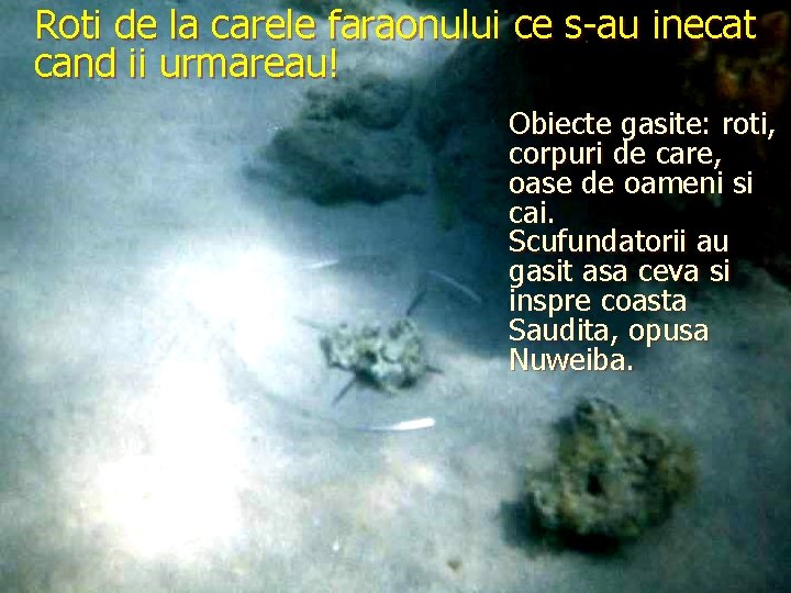 Roti de la carele faraonului ce s-au inecat cand ii urmareau! Obiecte gasite: roti, Roti de la carele faraonului ce s-au inecat cand ii urmareau! Obiecte gasite: roti,