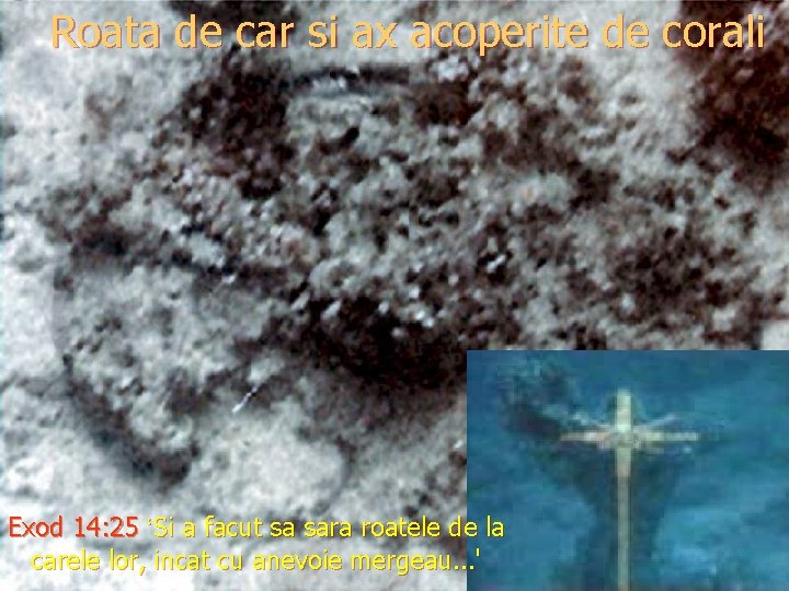Roata de car si ax acoperite de corali Exod 14: 25 ‘Si a facut Roata de car si ax acoperite de corali Exod 14: 25 ‘Si a facut
