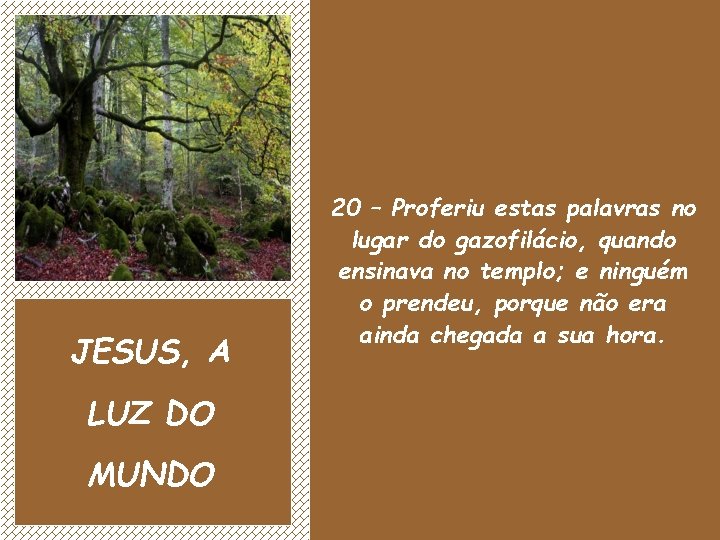 JESUS, A LUZ DO MUNDO 20 – Proferiu estas palavras no lugar do gazofilácio,