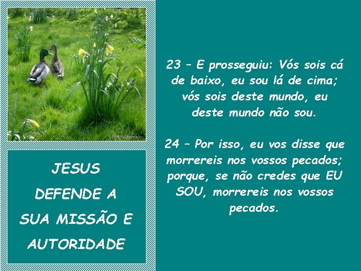 23 – E prosseguiu: Vós sois cá de baixo, eu sou lá de cima;