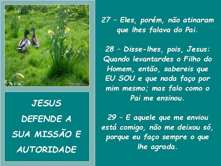 27 – Eles, porém, não atinaram que lhes falava do Pai. JESUS DEFENDE A